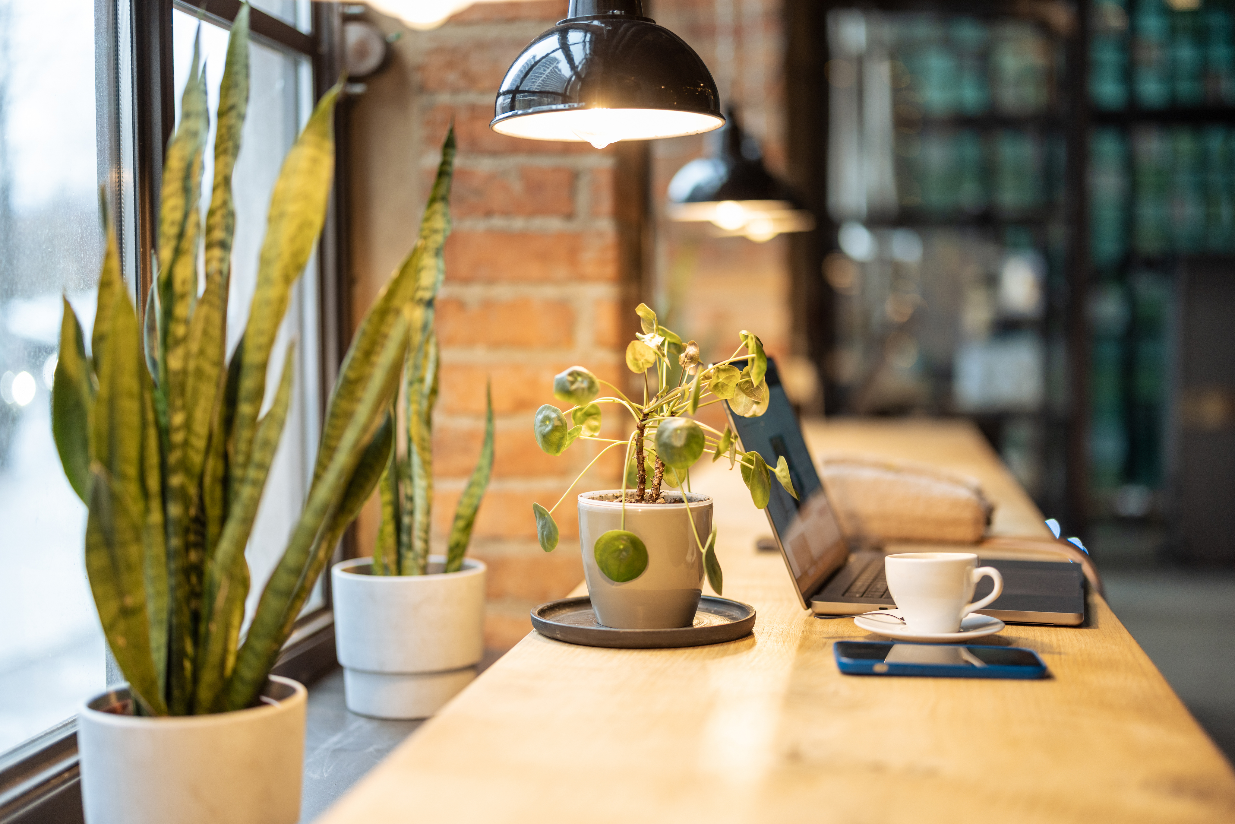 Coworking space at Work+Play Hub